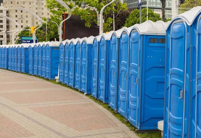 Seasonal porta potty units set up at a Mount Vernon, Washington venue